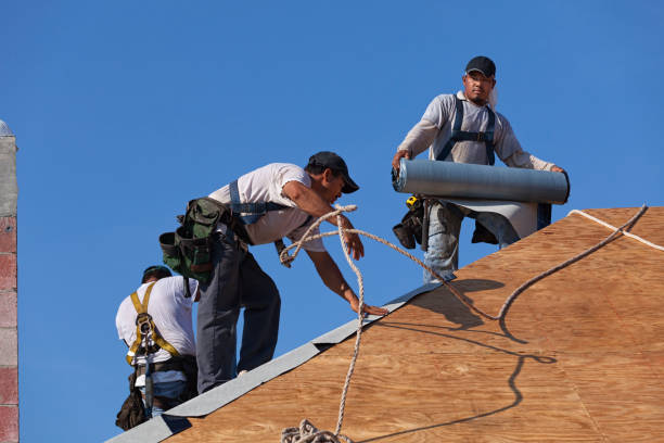 Best Roof Repair Services  in Burwell, NE